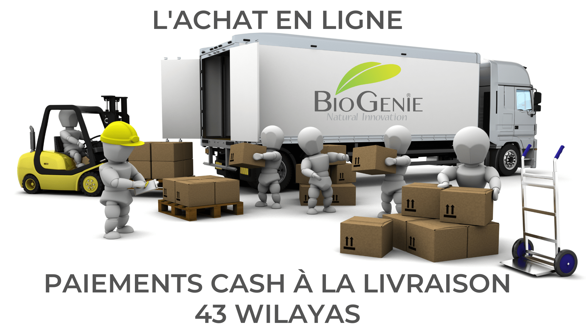 Contactez Nous